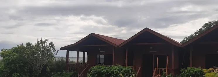 Cabañas del campo rodeadas de vegetación